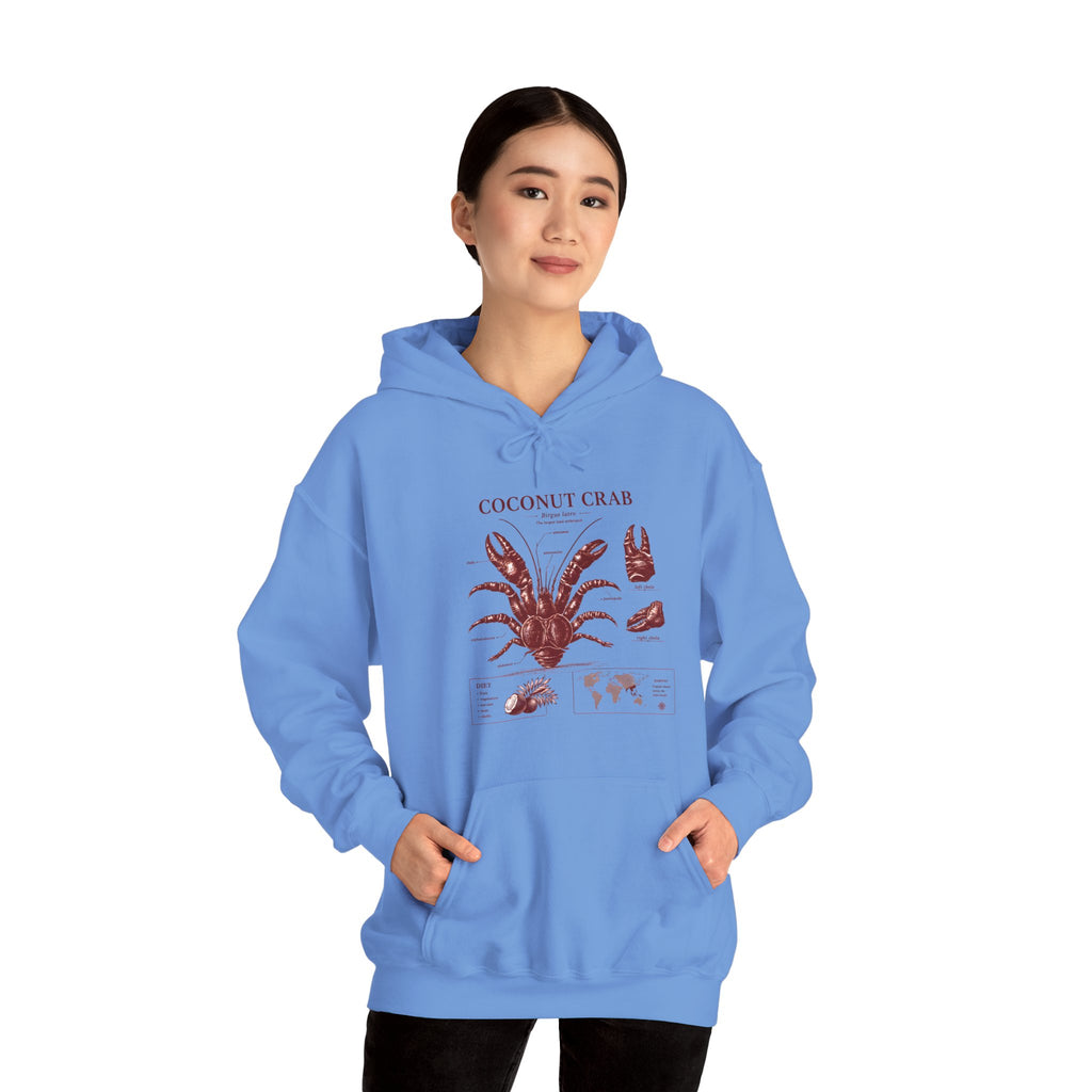 Coconut Crab Anatomy Hoodie — Vintage Botanical & Marine Study Print