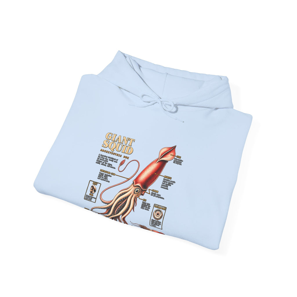 Squid Anatomy Hoodie — Vintage Scientific Illustration Pullover