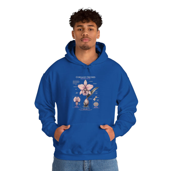 Orchid Botanical Hoodie — Cattleya Orchid Illustration Floral Pullover