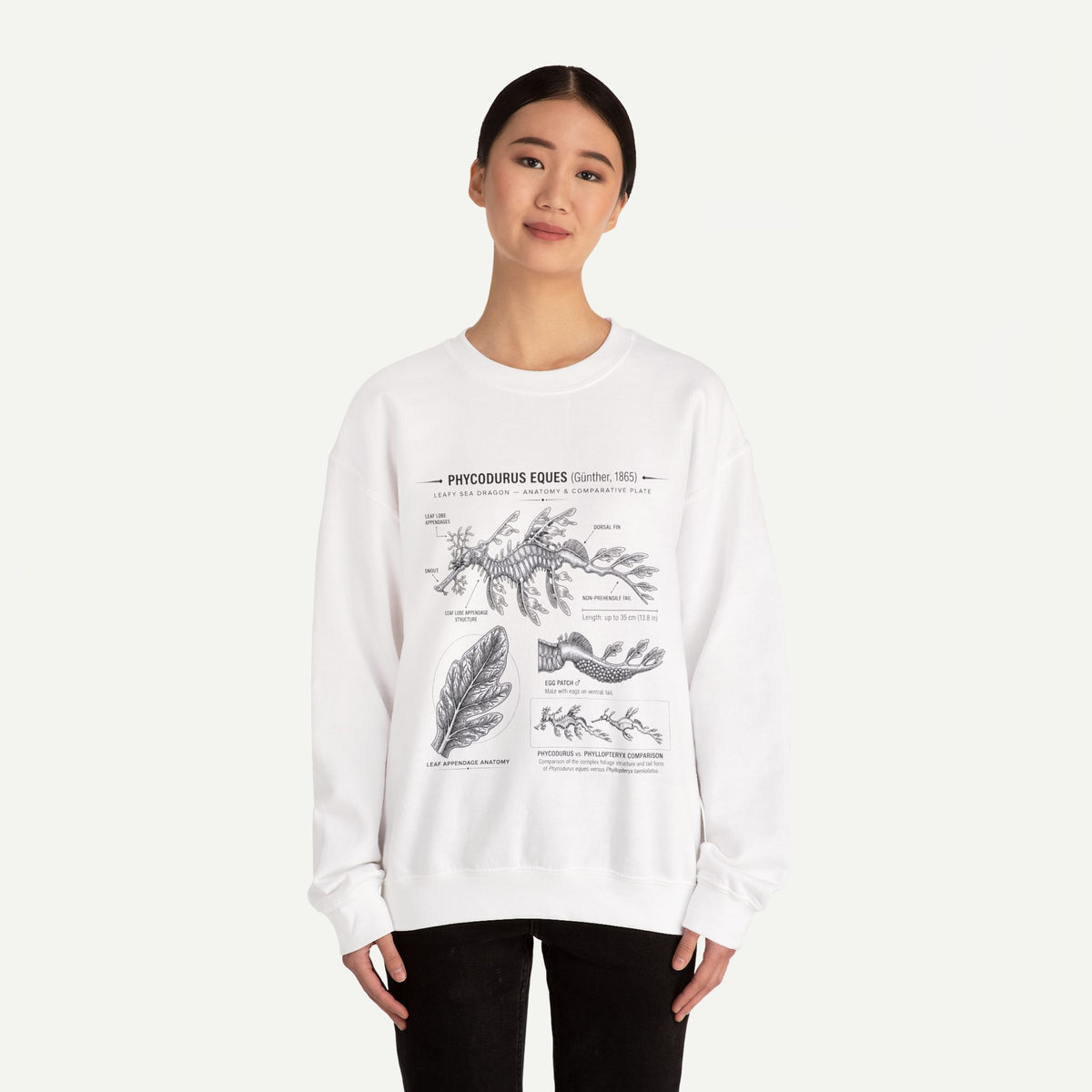 Botanical Anatomy Sweatshirt — Vintage Phycodurus Eques Seaweed Illustration