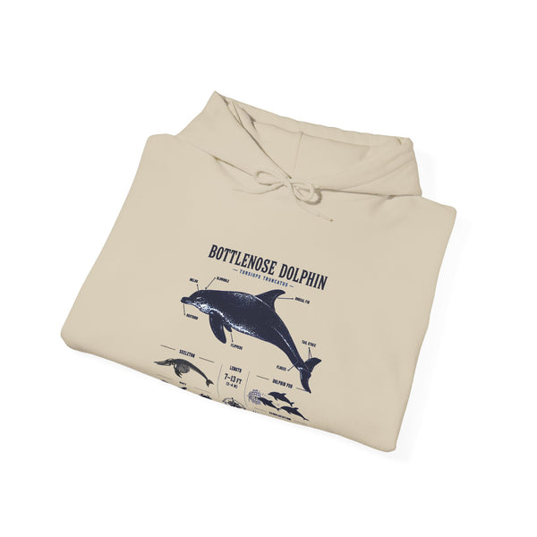 Bottlenose Dolphin Diagram Hoodie – Marine Life Anatomy Sweatshirt