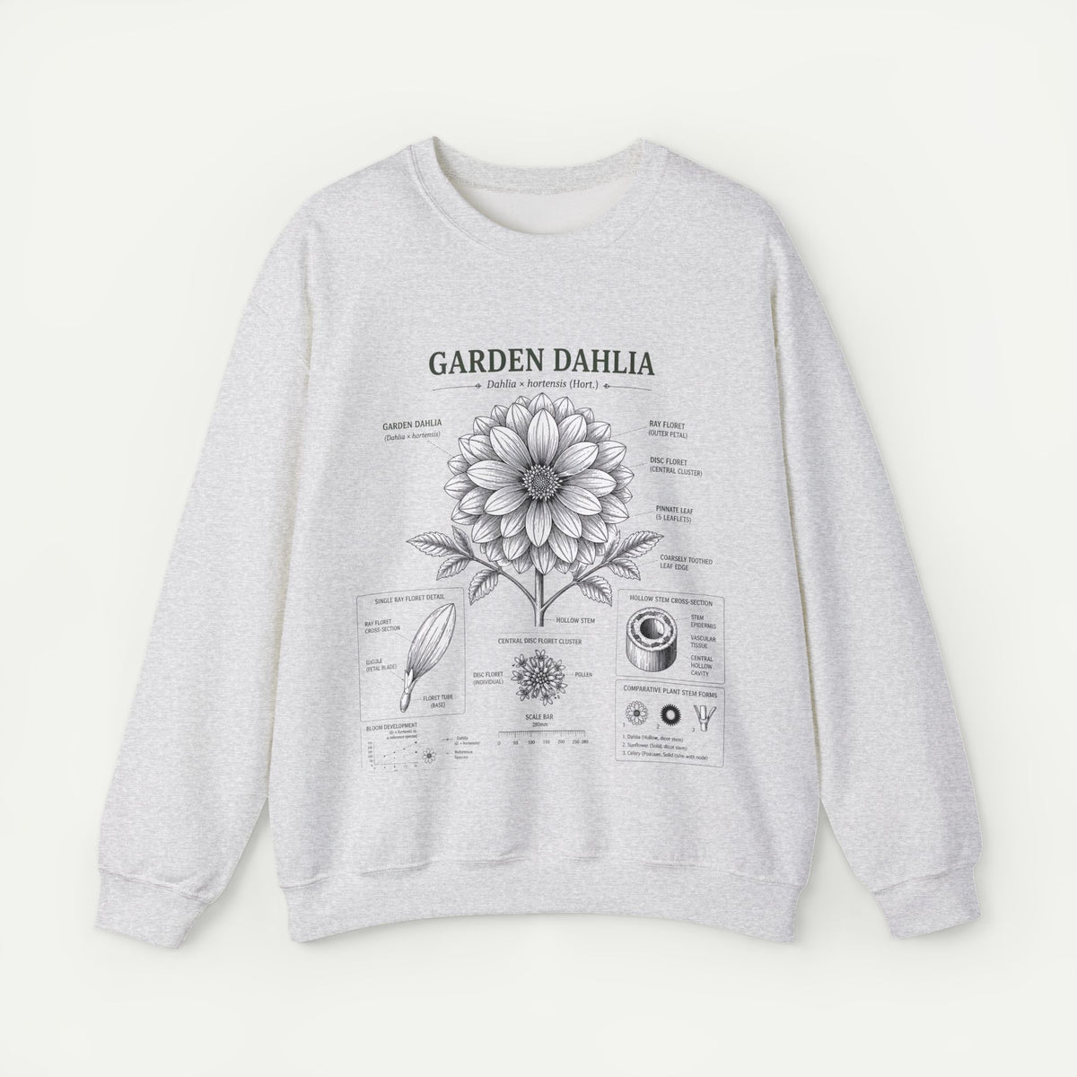 Dahlia Botanical Sweatshirt — Garden Dahlia Floral Diagram Crewneck Main image