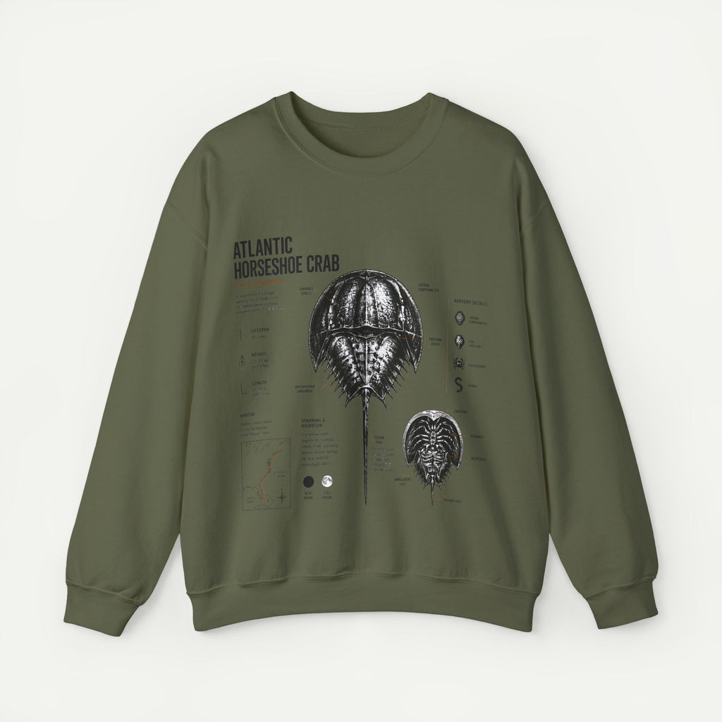 Horseshoe Crab Anatomy Sweatshirt — Atlantic Horseshoe Crab Illustration Crewneck