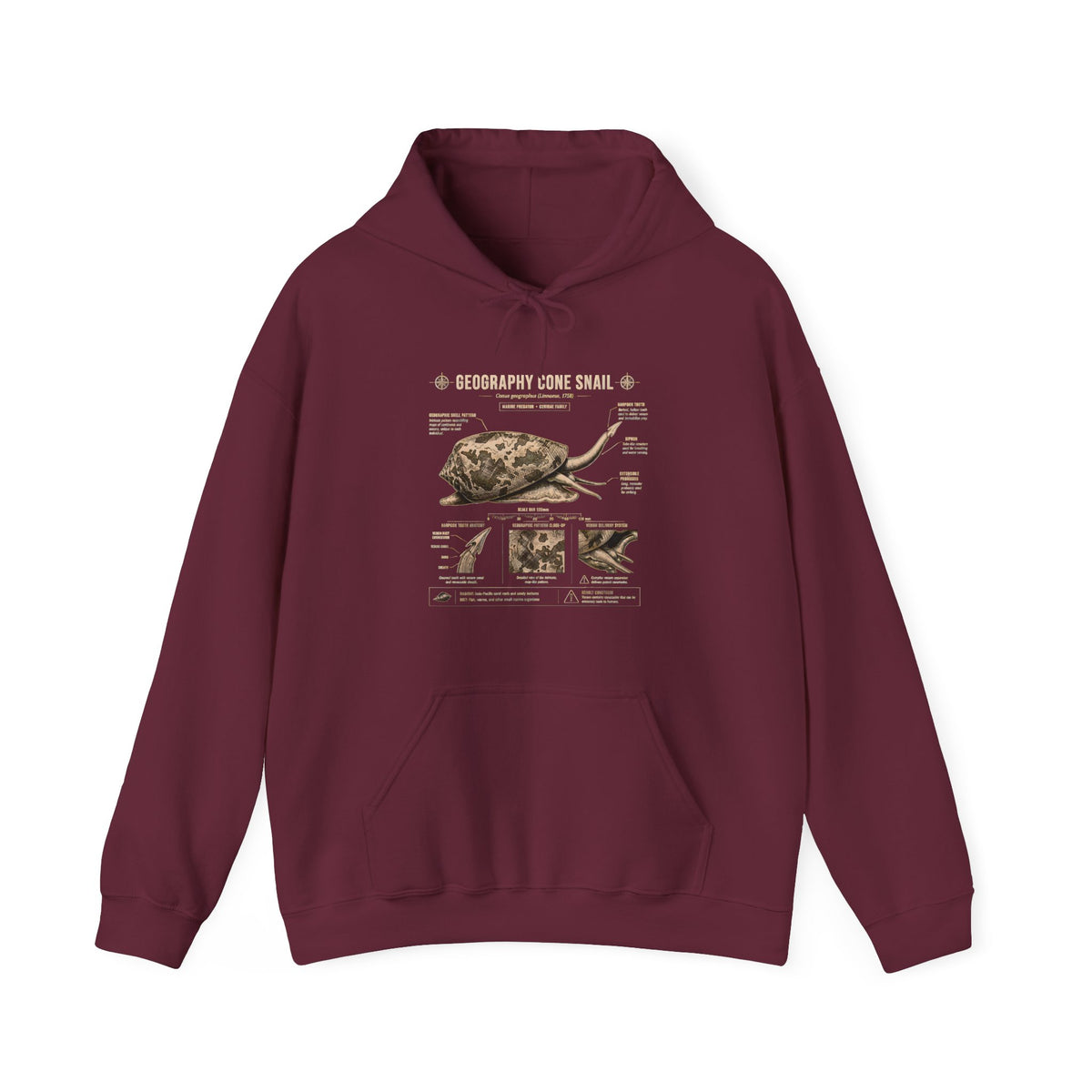 Turtle Anatomy Hoodie — Vintage Sea Turtle Illustration, "Be Different, Embrace Your Shell" Sweatshirt