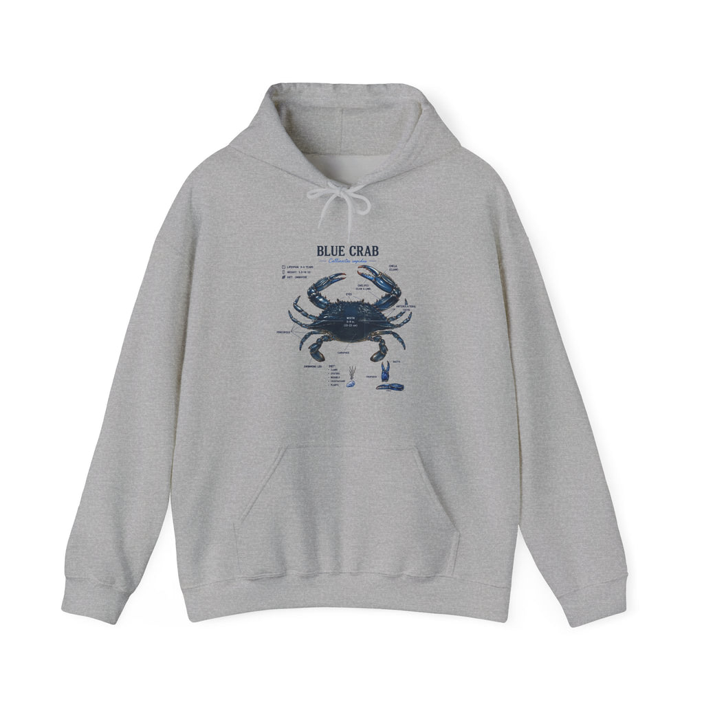 Blue Crab Anatomy Hoodie — Nautical Marine Biology Graphic Sweatshirt