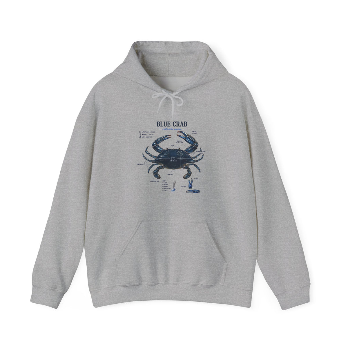 Blue Crab Anatomy Hoodie — Nautical Marine Biology Graphic Sweatshirt
