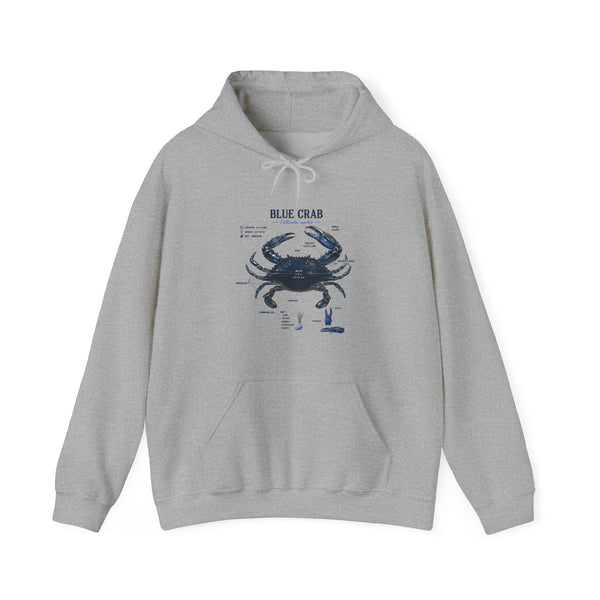 Blue Crab Anatomy Hoodie — Nautical Marine Biology Graphic Sweatshirt