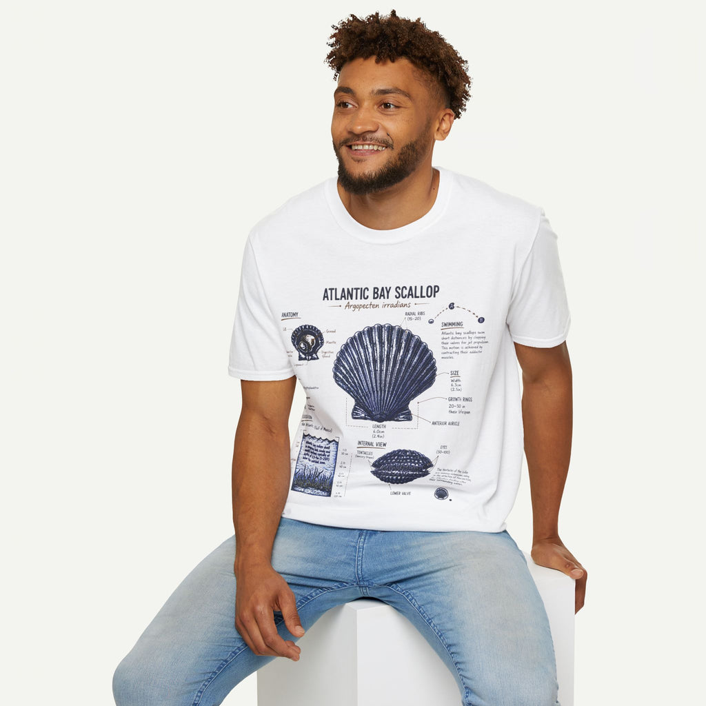 Scallop Shell Anatomy T‑Shirt — Atlantic Bay Scallop Illustration Tee