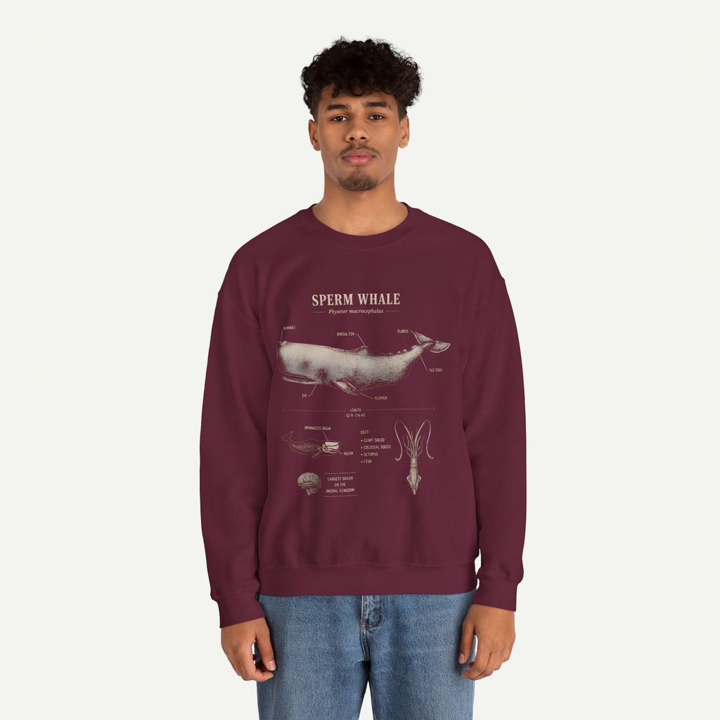 Sperm Whale Anatomy Sweatshirt — Vintage Marine Biology Illustration
