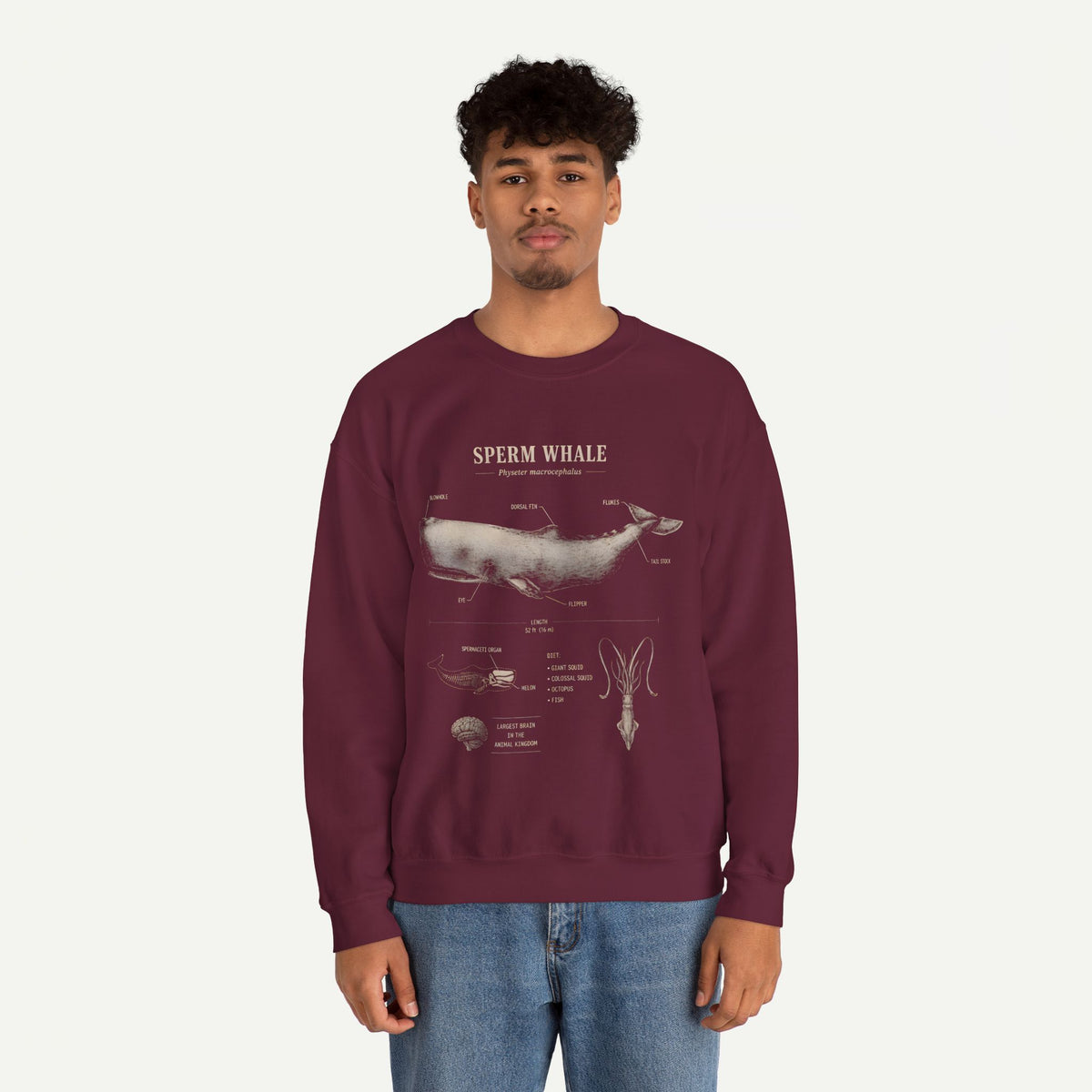 Sperm Whale Anatomy Sweatshirt — Vintage Marine Biology Illustration