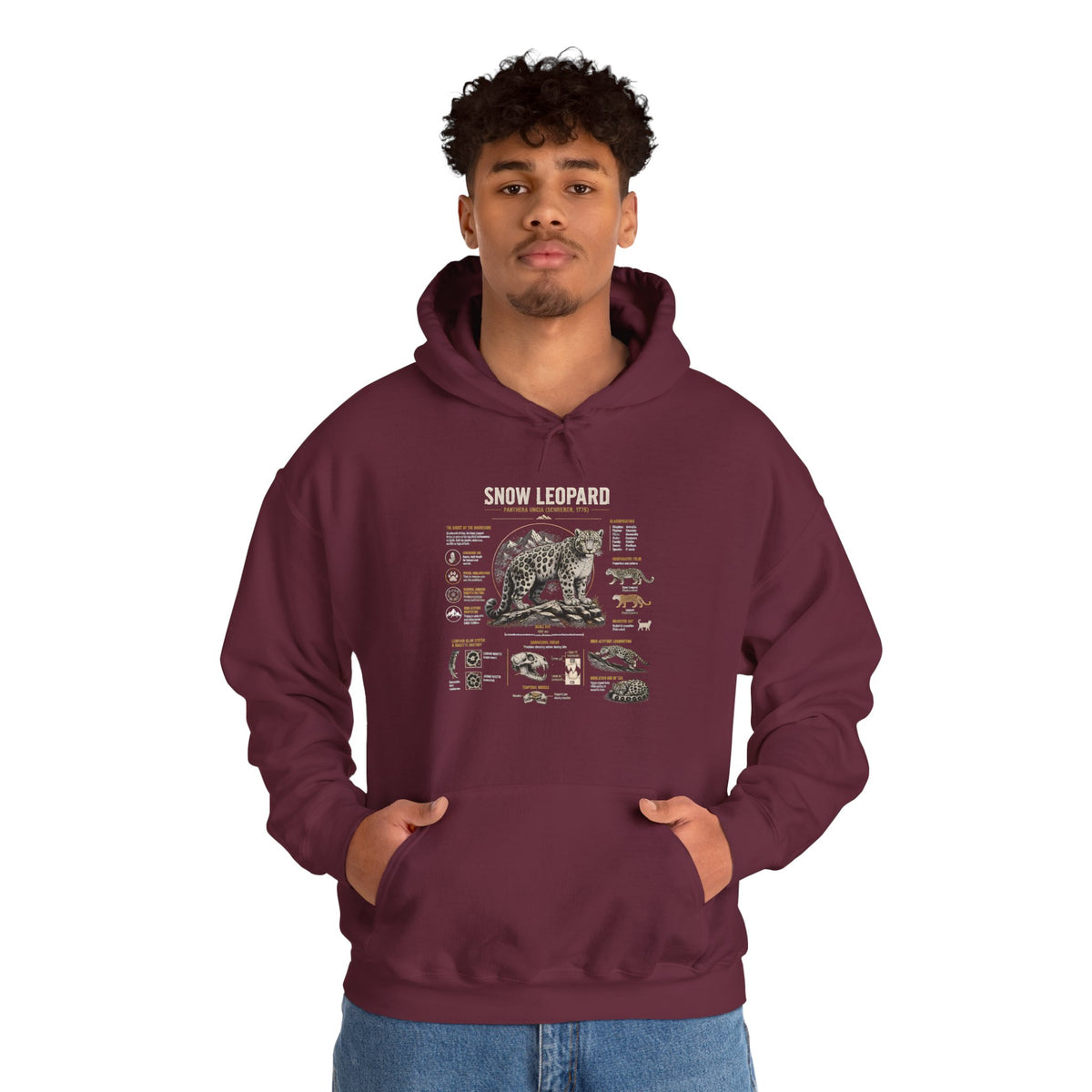 Bear Anatomy Hoodie — Vintage Wildlife Illustration Sweatshirt