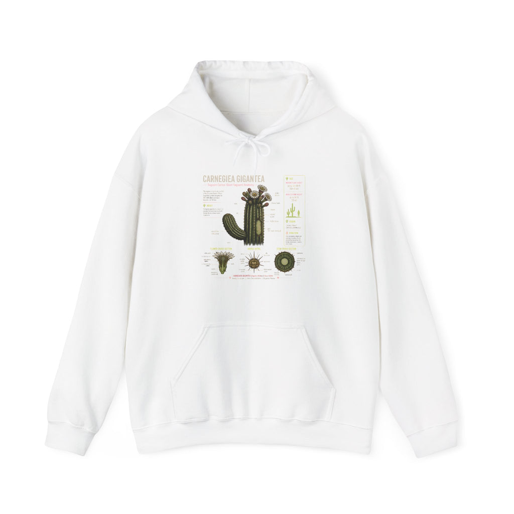Cactus Anatomy Hoodie — Botanical Saguaro Diagram Sweatshirt