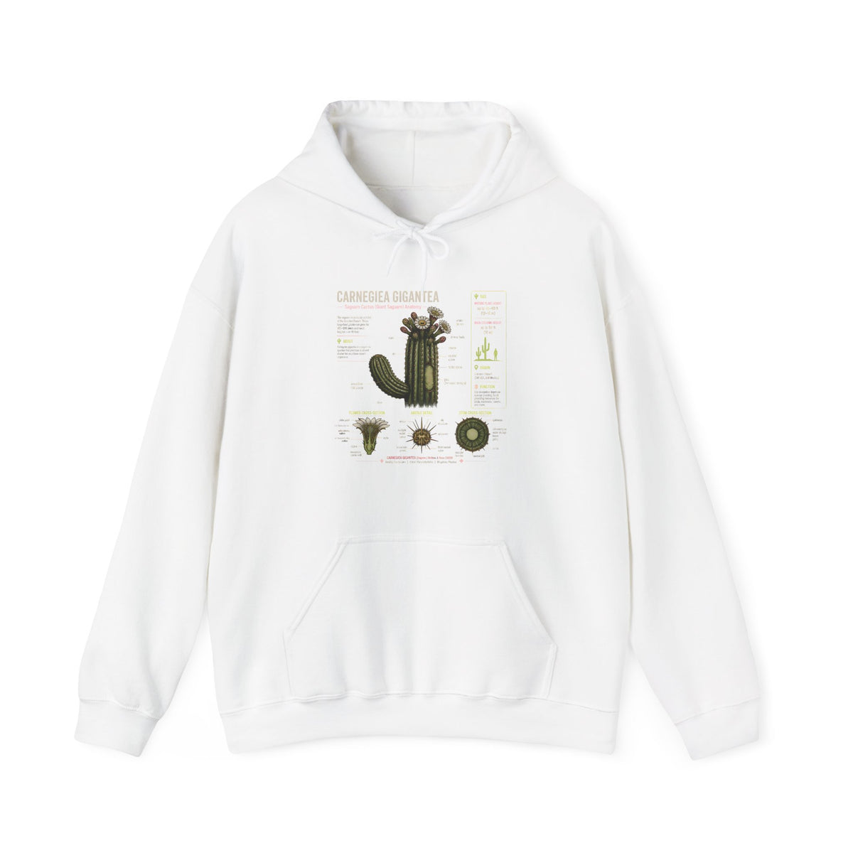 Cactus Anatomy Hoodie — Botanical Saguaro Diagram Sweatshirt
