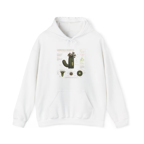 Cactus Anatomy Hoodie — Botanical Saguaro Diagram Sweatshirt