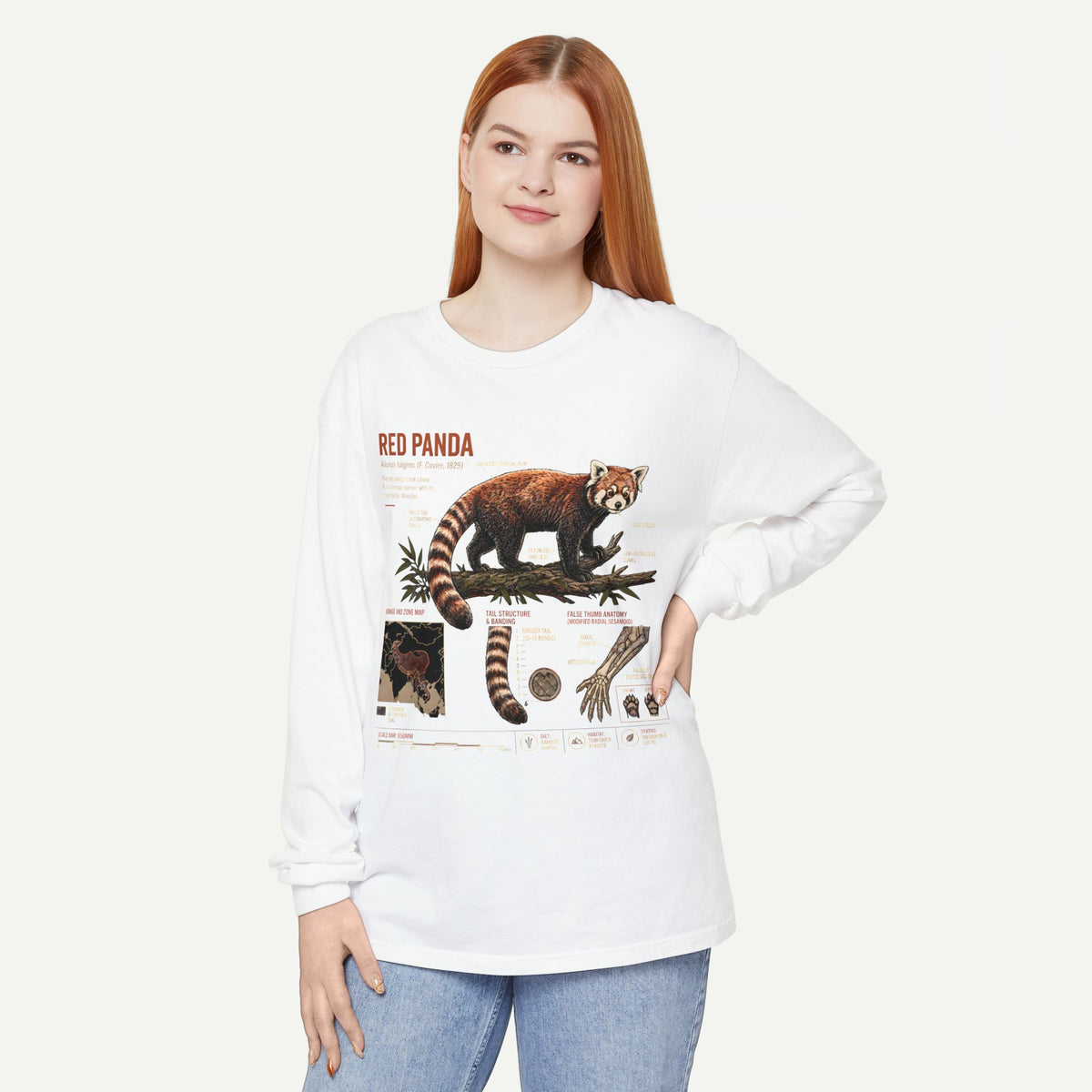 Red Panda Illustration Long Sleeve Tee — Wildlife Field Guide Graphic