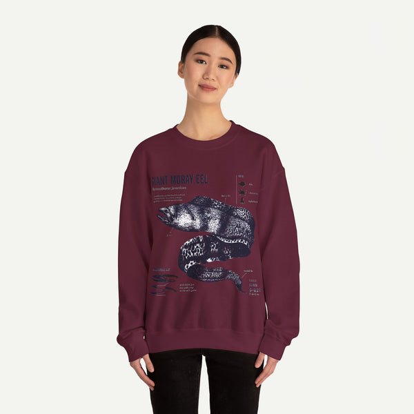 Giant Moray Eel Anatomy Sweatshirt