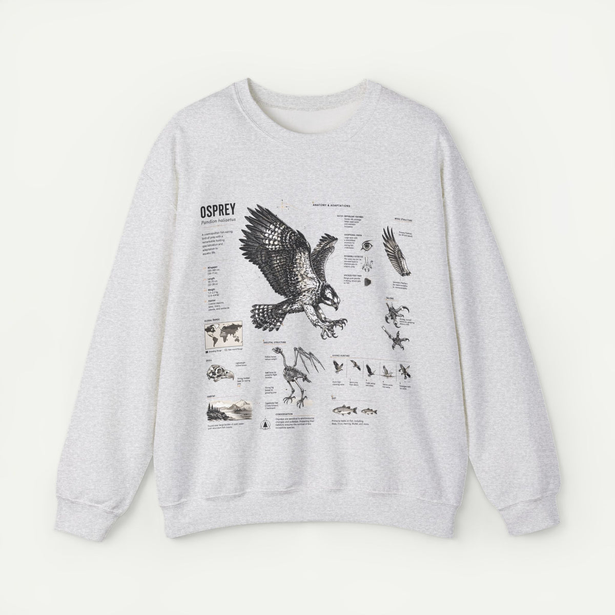 Osprey Anatomy Sweatshirt — Illustrated Bird Guide Pullover Main image