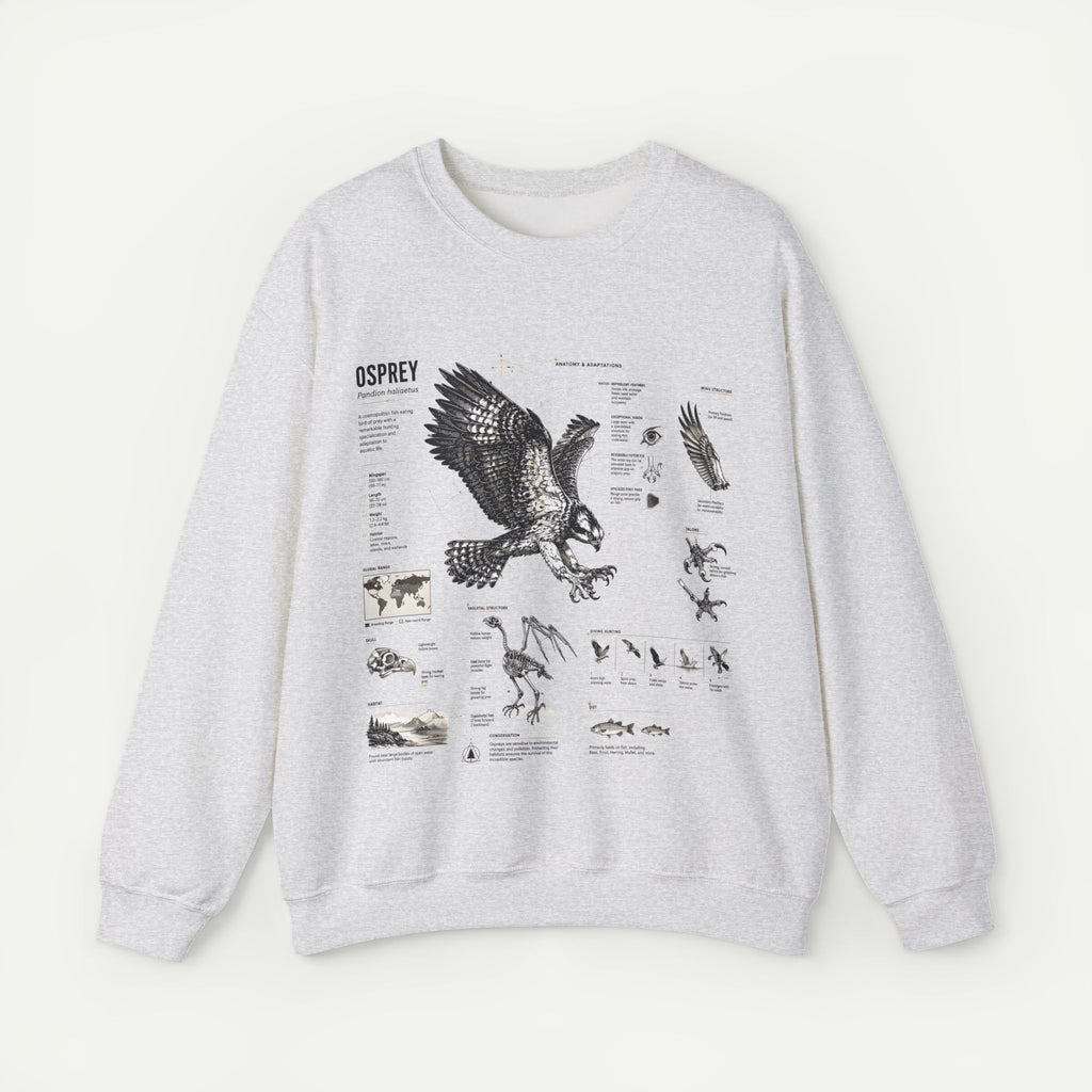 Osprey Anatomy Sweatshirt — Illustrated Bird Guide Pullover