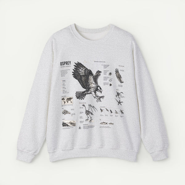 Osprey Anatomy Sweatshirt — Illustrated Bird Guide Pullover