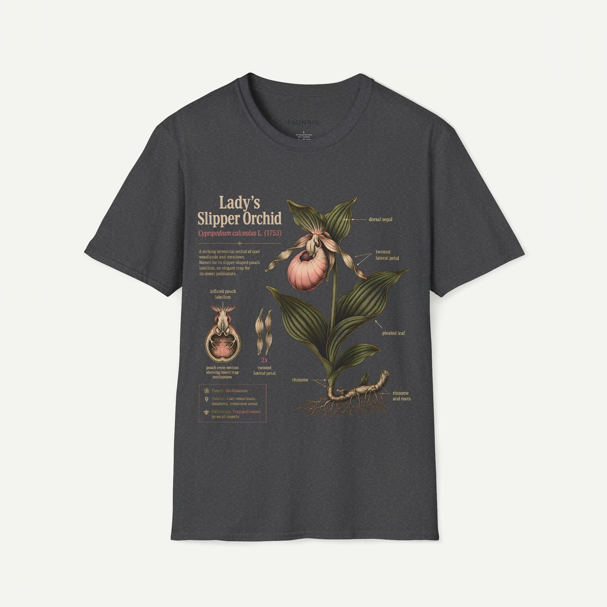 Lady's Slipper Orchid Atanomy T-Shirt — Botanical Illustration Tee Secondary image