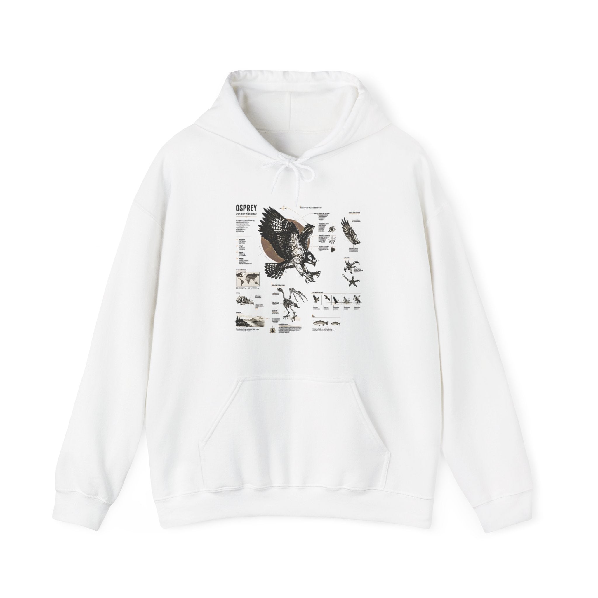 Eagle Anatomy Hoodie — Vintage Ornithology Graphic Sweatshirt Secondary image