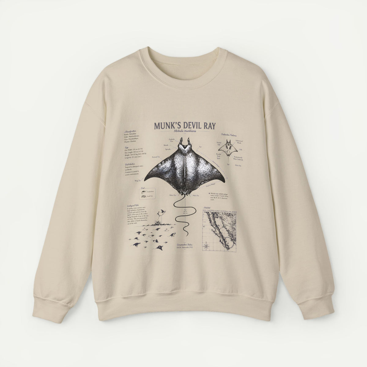 Munk’s Devil Ray Anatomy Sweatshirt — Vintage Marine Biology Graphic Crewneck