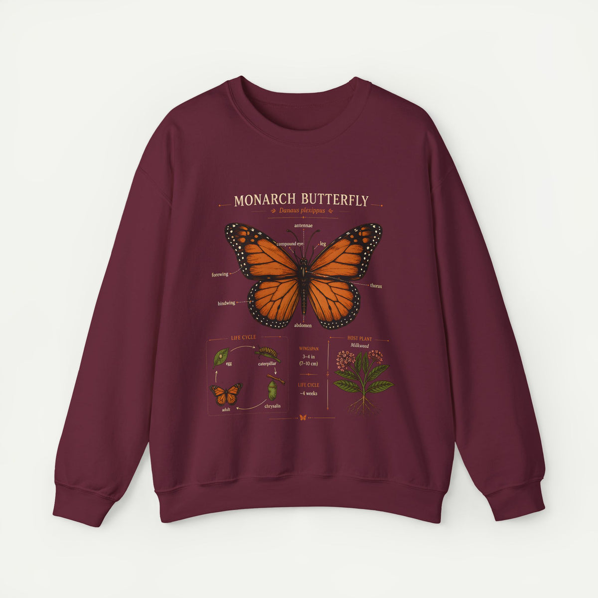 Monarch Butterfly Anatomy Sweatshirt