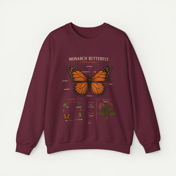 Monarch Butterfly Anatomy Sweatshirt