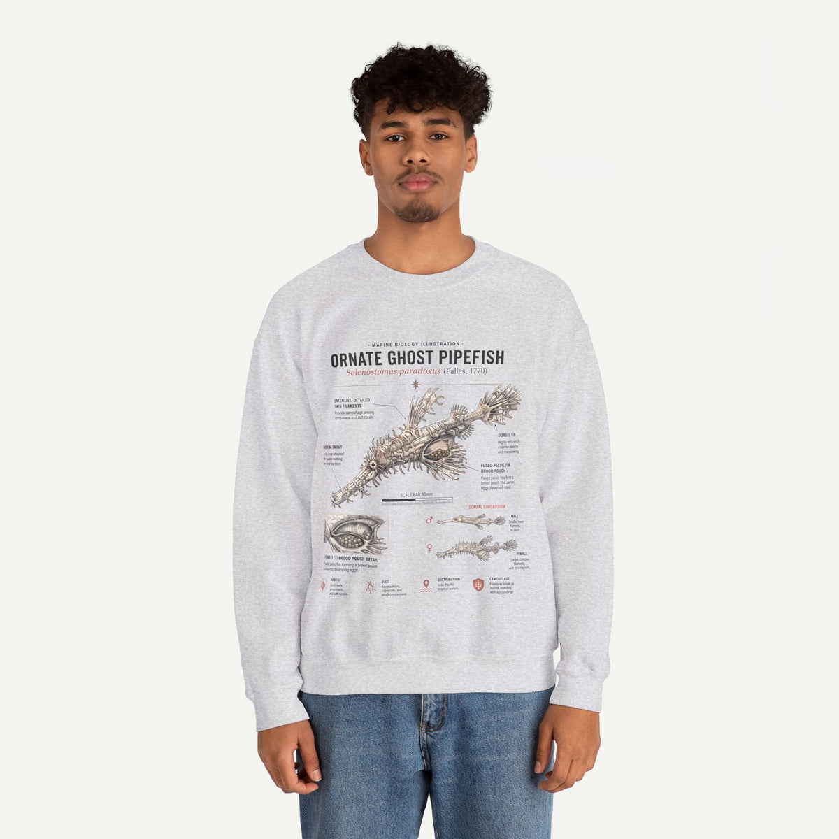 Ornate Ghost Pipefish Anatomy Sweatshirt