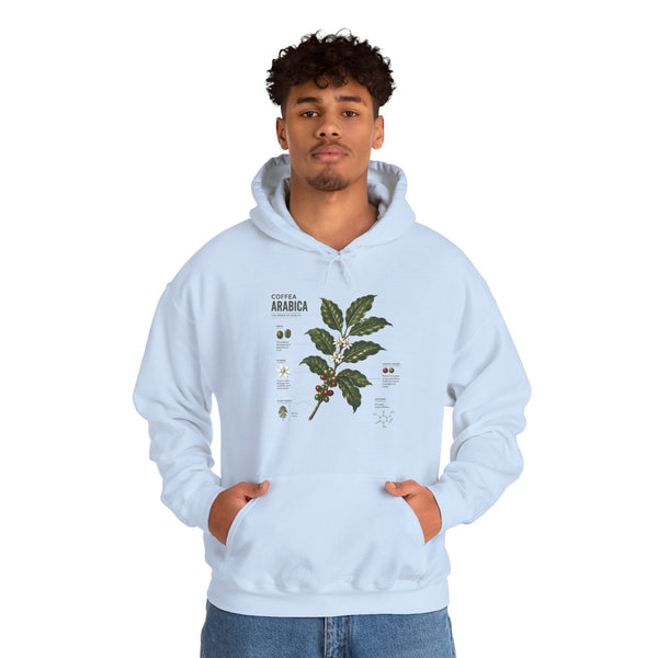 Coffee Plant Hoodie — Coffea Arabica Botanical Illustration Sweatshirt