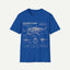 Megamouth Shark Anatomy T-Shirt — Marine Biology Graphic Tee