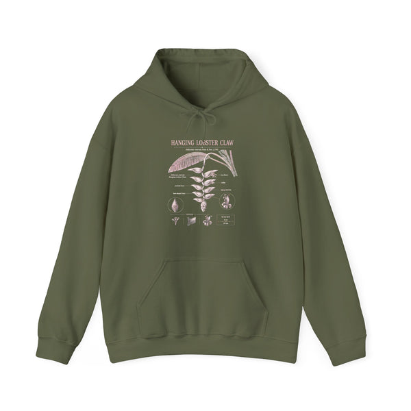 Botanical Growth Hoodie — Humming Lighter Club Plant Diagram Pullover