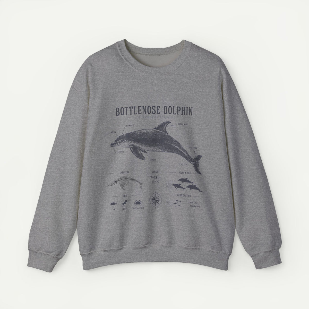 Bottlenose Dolphin Sweatshirt – Marine Life Educational Graphic