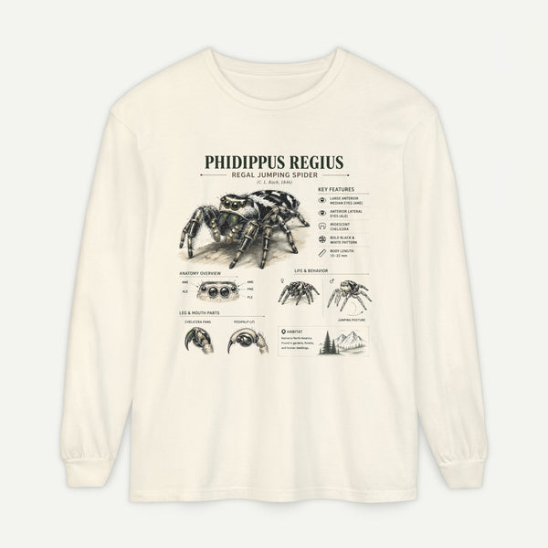 Phidippus Regius Jumping Spider Illustration Long Sleeve Tee