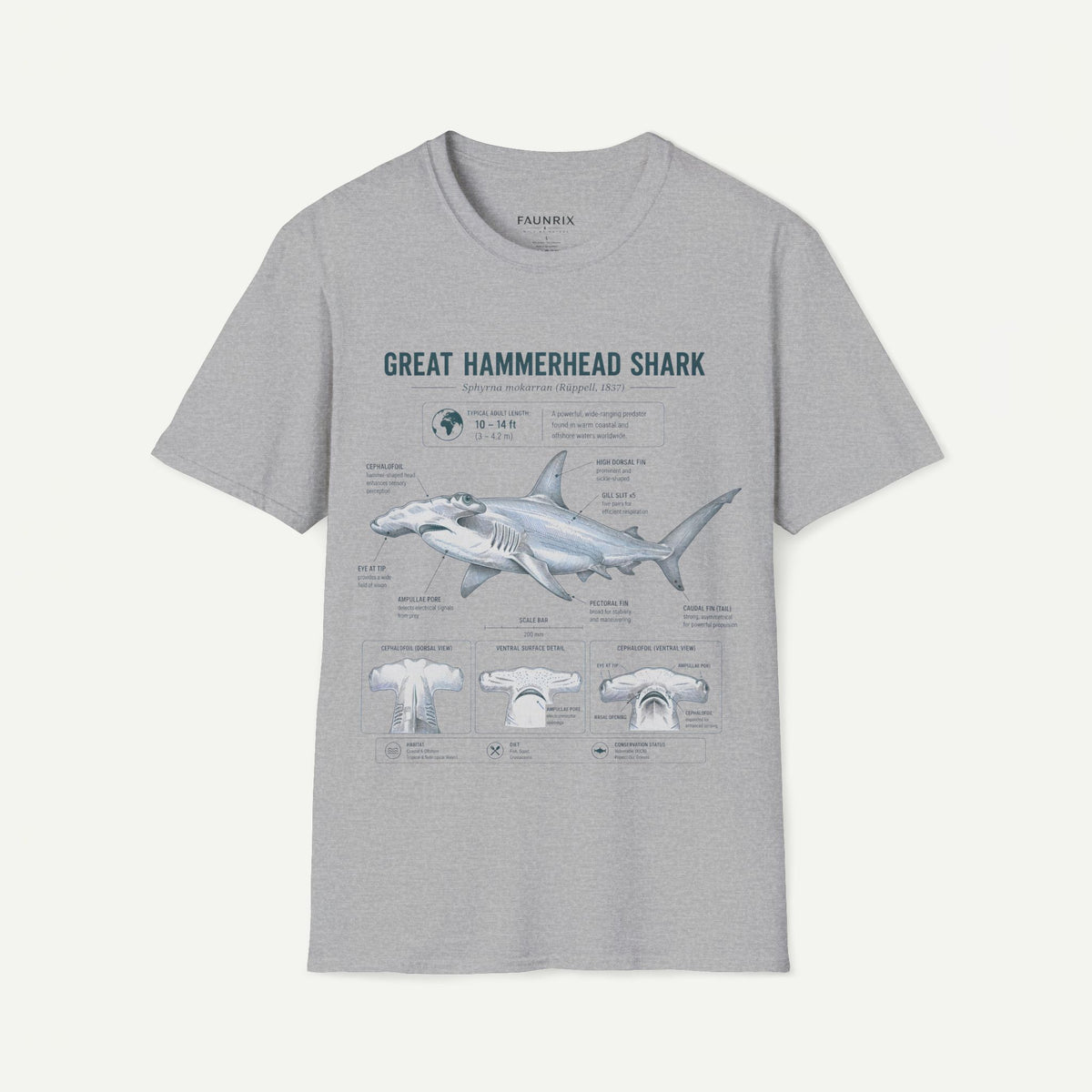 Hammerhead Shark Anatomy T-Shirt — Great Hammerhead Educational Tee