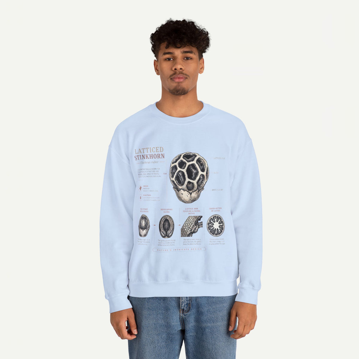 Mushroom Anatomy Sweatshirt – Latticeed Stinkhorn Mycology Crewneck