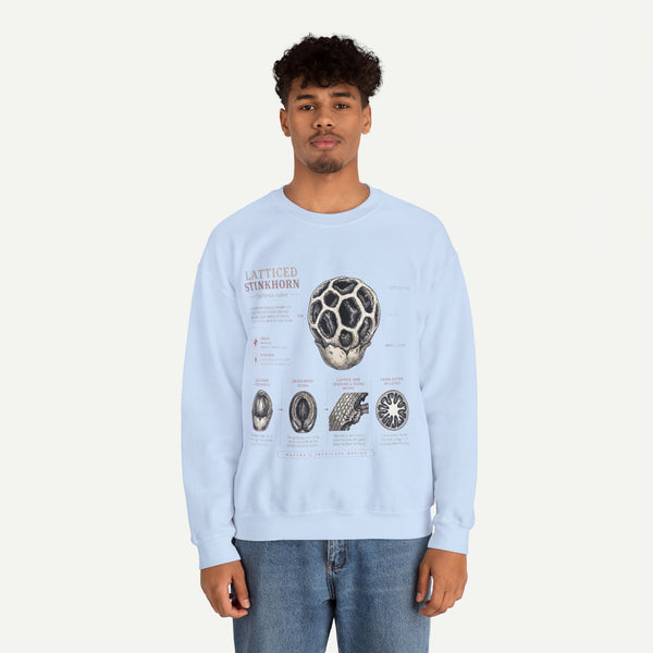 Mushroom Anatomy Sweatshirt – Latticeed Stinkhorn Mycology Crewneck