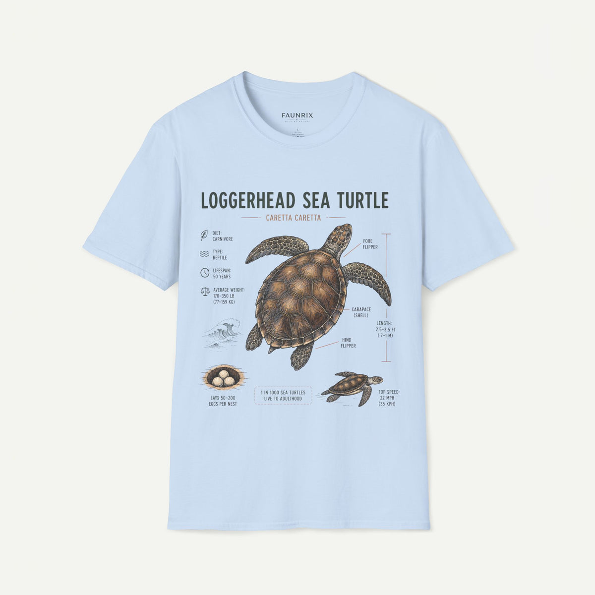 Sea Turtle Anatomy  T-Shirt — "Loggerhead Sea Turtle" Vintage Nature Graphic Tee