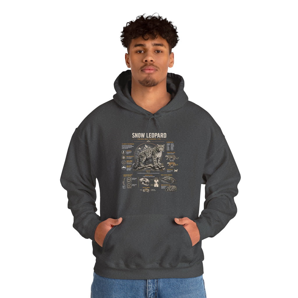 Bear Anatomy Hoodie — Vintage Wildlife Illustration Sweatshirt