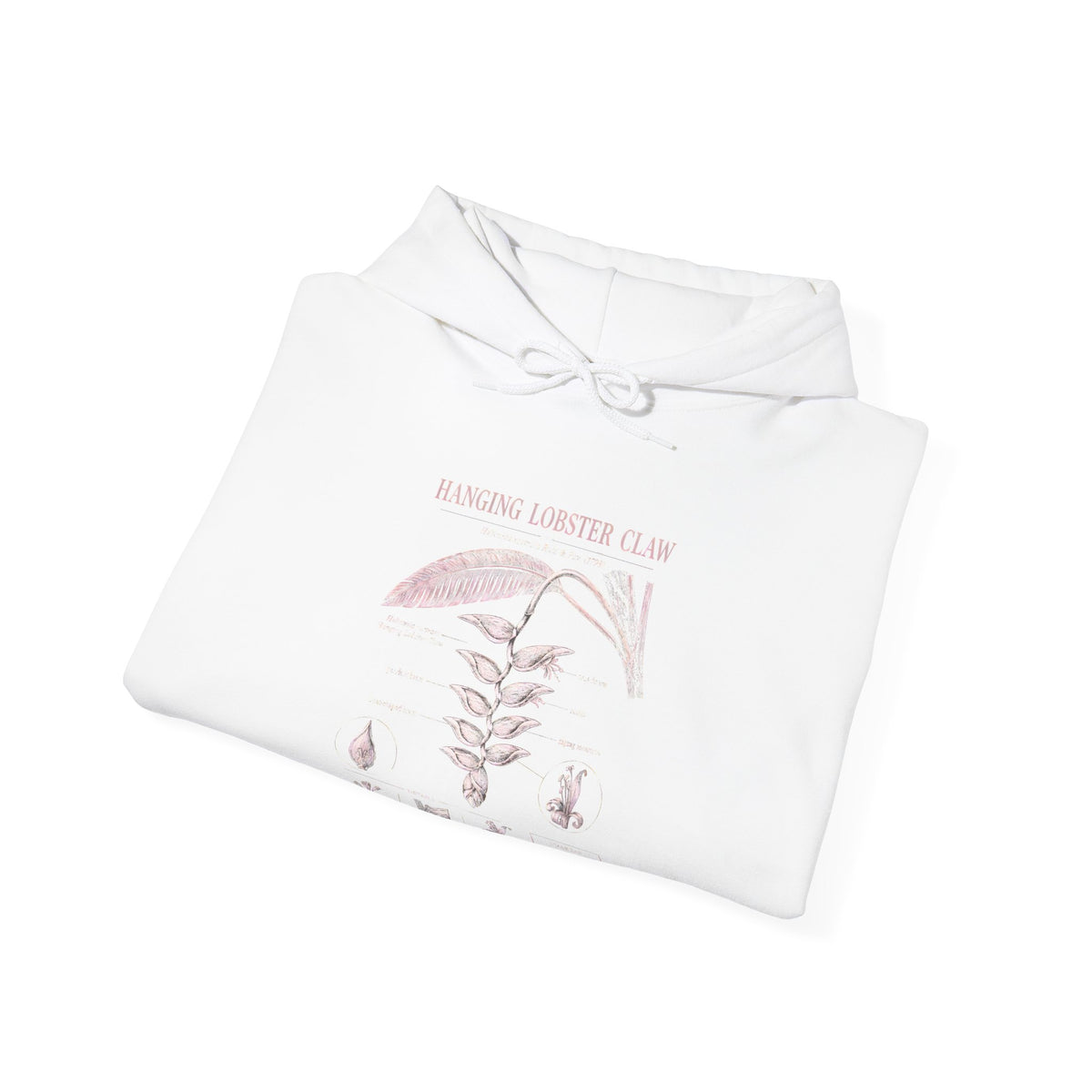 Botanical Growth Hoodie — Humming Lighter Club Plant Diagram Pullover