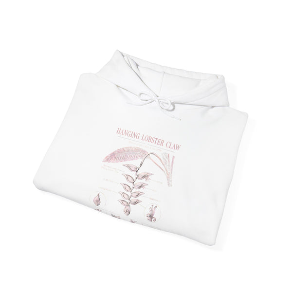 Botanical Growth Hoodie — Humming Lighter Club Plant Diagram Pullover