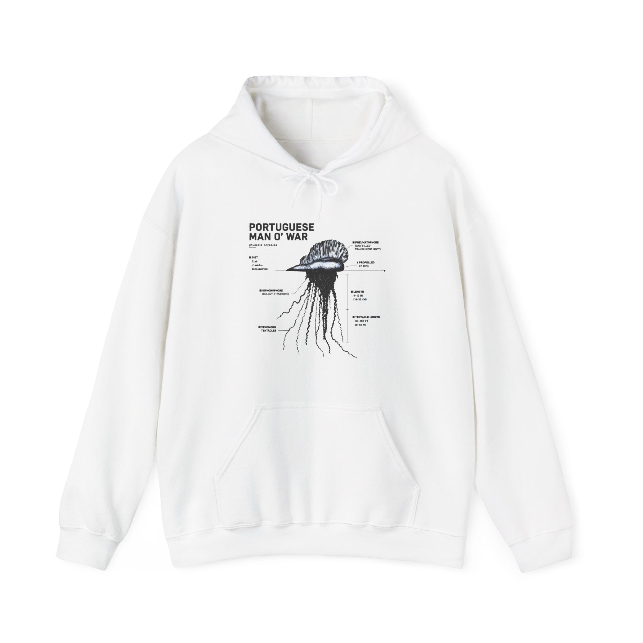 Unisex Heavy Blend™ Hooded Sweatshirt Secondary image