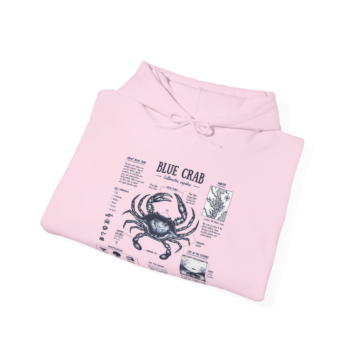 Blue Crab Anatomy Hoodie — Nautical Seafood Diagram Sweatshirt