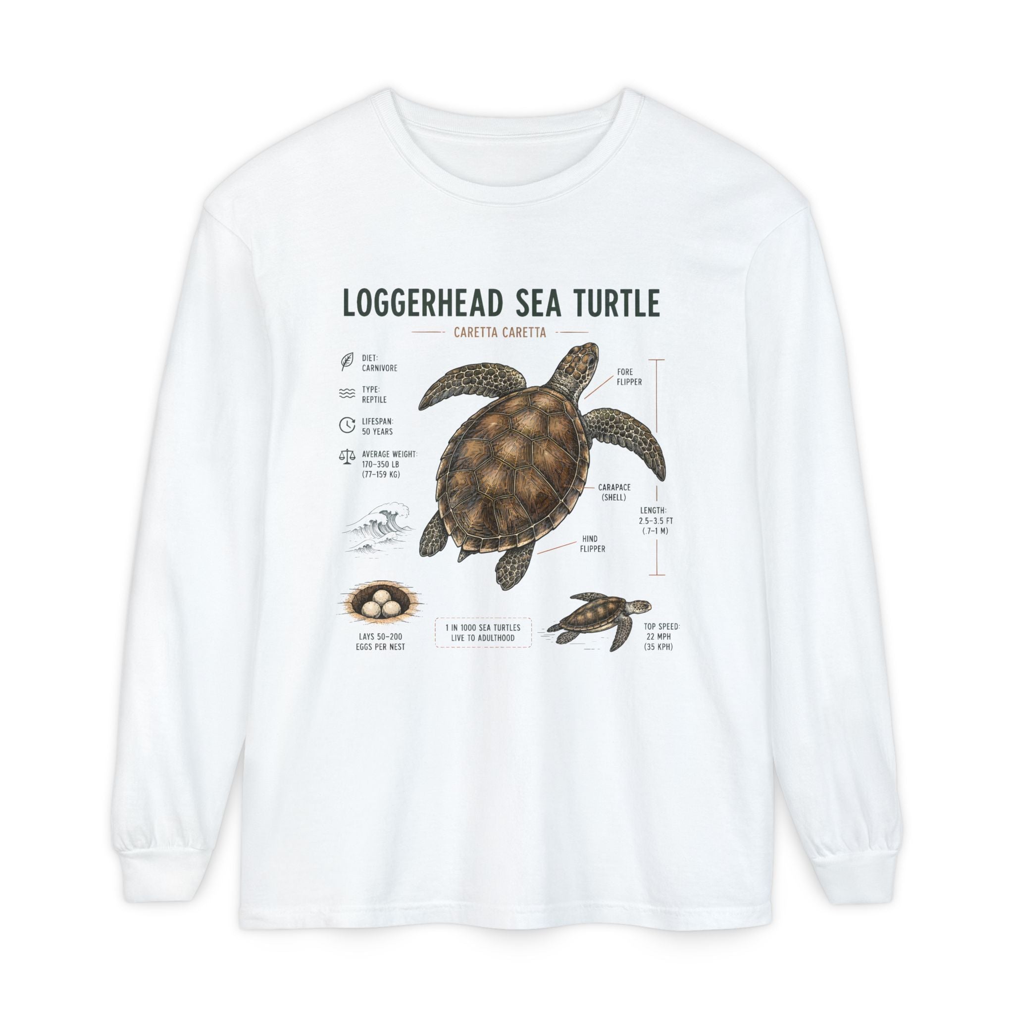 Loggerhead Sea Turtle Anatomy Long Sleeve Tee Secondary image