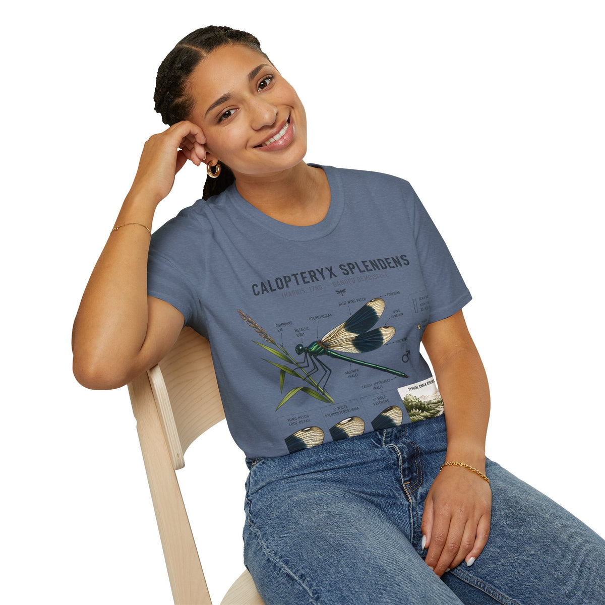 Calopteryx Splendens Anatomy T-Shirt