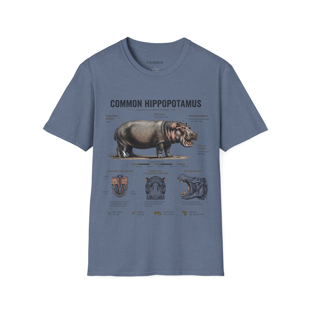 Common Hippopotamus Anatomy T-Shirt — Vintage Natural History Hippo Tee