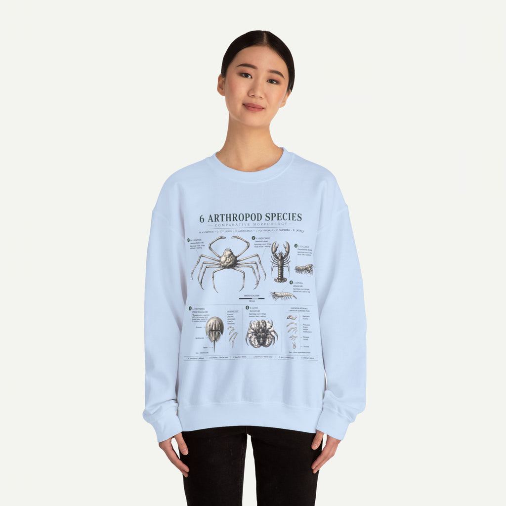 Arthropod Species Diagram Sweatshirt — Vintage Scientific Illustration Crewneck