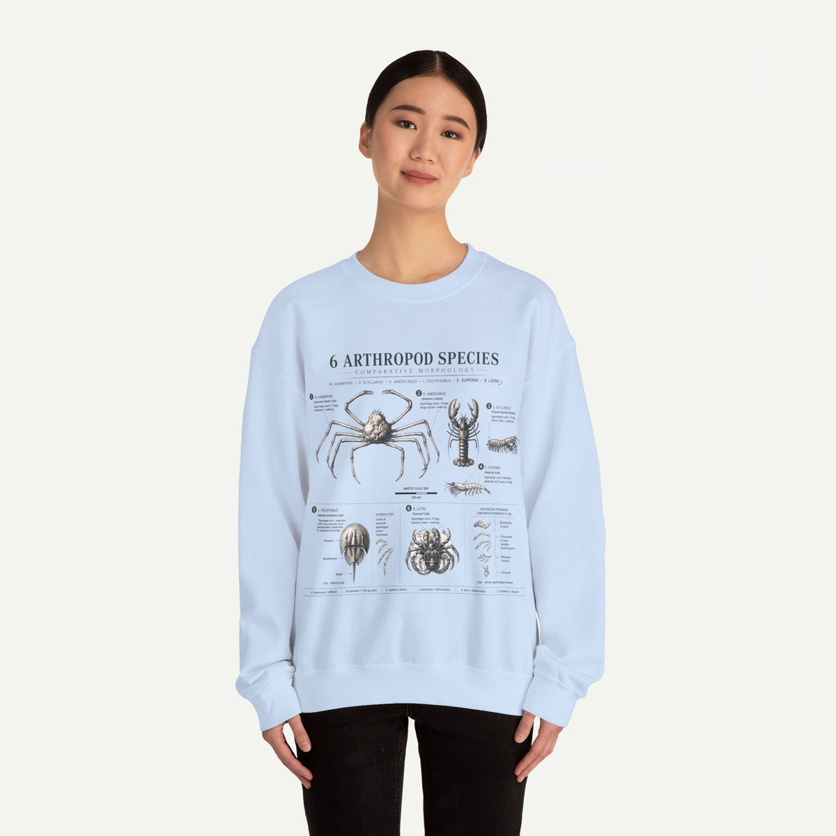 Arthropod Species Diagram Sweatshirt — Vintage Scientific Illustration Crewneck