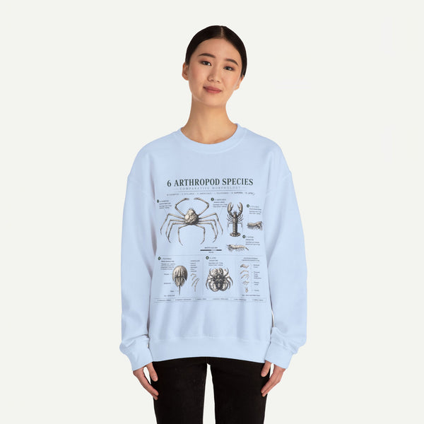 Arthropod Species Diagram Sweatshirt — Vintage Scientific Illustration Crewneck