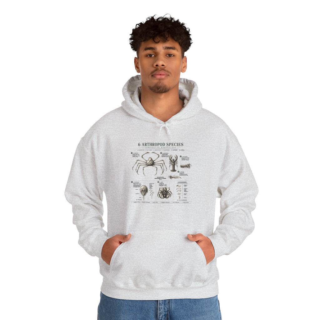 Arthropod Species Hoodie – Vintage Scientific Diagram Sweatshirt
